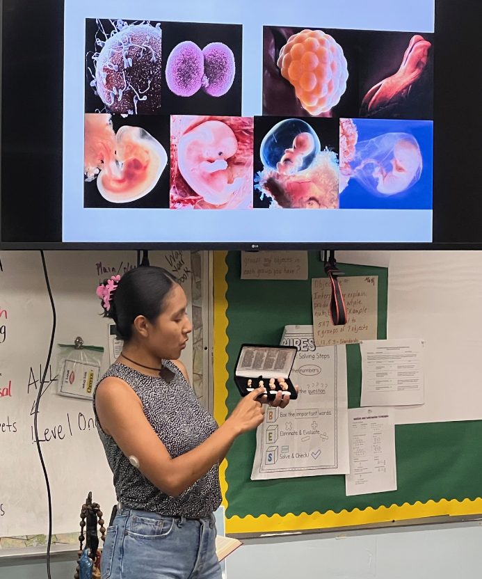 A presenter showing fetal development models to an audience